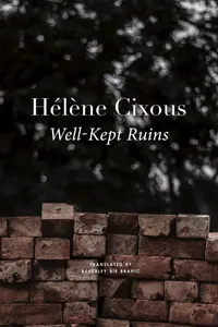 Well-Kept Ruins_cover