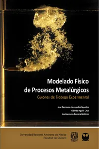 Modelado Físico de Procesos Metalúrgicos. Guiones de Trabajo Experimental_cover