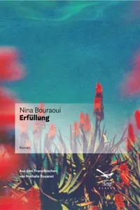 Erfüllung_cover