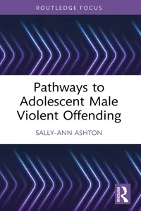 Pathways to Adolescent Male Violent Offending_cover