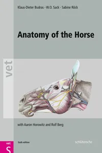 Anatomy of the Horse_cover