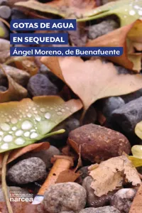 Gotas de agua en sequedal_cover