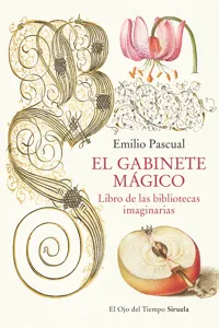 El gabinete mágico_cover