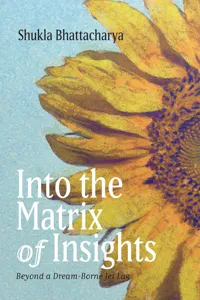 Into the Matrix of Insights_cover