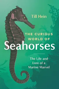 The Curious World of Seahorses_cover