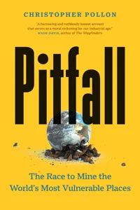 Pitfall_cover