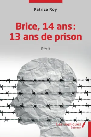 Brice 14 ans 13 ans de prison