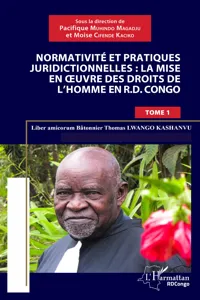 Normativité et pratique juridictionnelles: la mise en oeuvre des droits de l'Homme en R.D Congo_cover