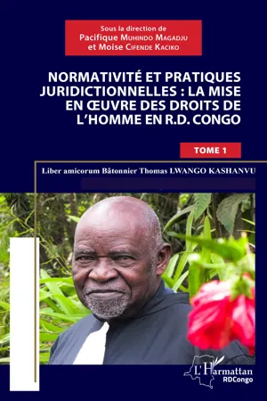 Normativité et pratique juridictionnelles: la mise en oeuvre des droits de l'Homme en R.D Congo