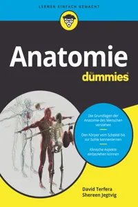 Anatomie für Dummies_cover