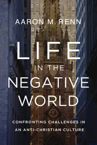 Life in the Negative World_cover