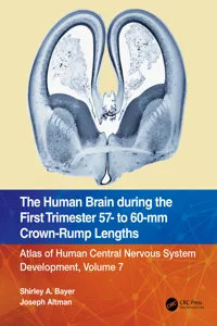 The Human Brain during the First Trimester 57- to 60-mm Crown-Rump Lengths_cover