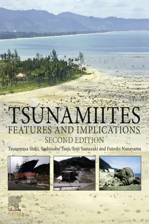 Tsunamiites