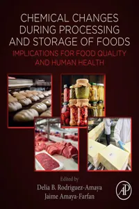 Chemical Changes During Processing and Storage of Foods_cover