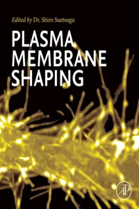 Plasma Membrane Shaping_cover