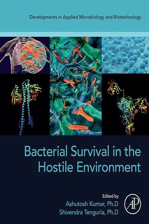 Book cover image for: Bacterial Survival in the Hostile Environment