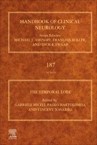 The Temporal Lobe_cover