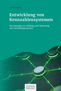 Entwicklung von Kennzahlensystemen_cover