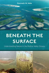 Beneath the Surface_cover