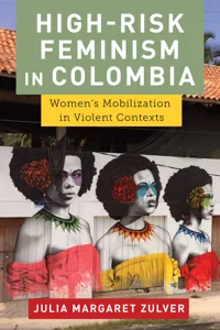 High-Risk Feminism in Colombia_cover