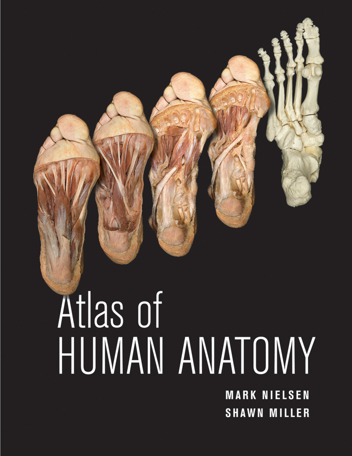 PDF] Atlas of Human Anatomy by Mark Nielsen | 9780470501450