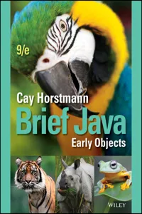 Brief Java_cover