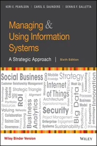Managing and Using Information Systems_cover