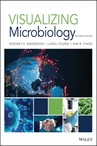 Visualizing Microbiology_cover