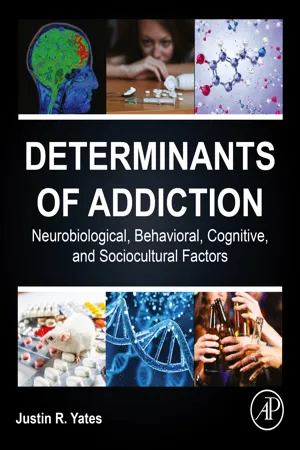 Determinants of Addiction