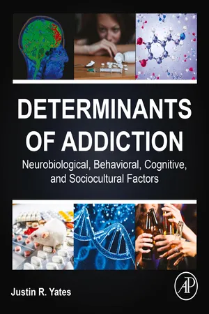 Determinants of Addiction