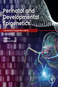 Perinatal and Developmental Epigenetics_cover