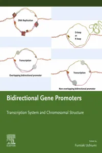 Bidirectional Gene Promoters_cover