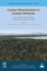 Carbon Mineralization in Coastal Wetlands_cover