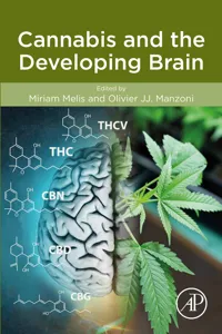 Cannabis and the Developing Brain_cover
