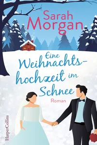 Eine Weihnachtshochzeit im Schnee_cover