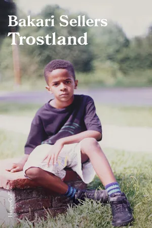 My Vanishing Country