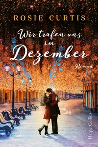 We Met In December_cover