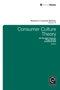 Consumer Culture Theory_cover