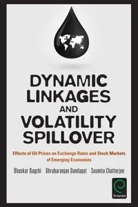 Dynamic Linkages and Volatility Spillover_cover