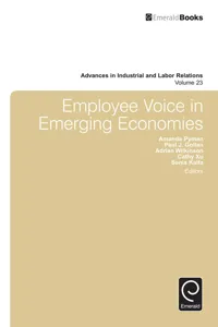 Employee Voice in Emerging Economies_cover
