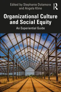 Organizational Culture and Social Equity_cover
