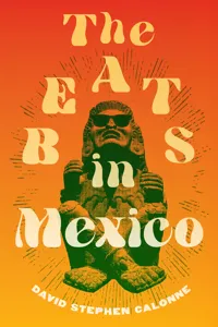 The Beats in Mexico_cover