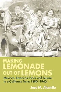 Making Lemonade out of Lemons_cover