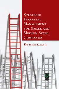 Strategic Financial Management for Small and Medium Sized Companies_cover