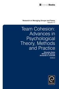 Team Cohesion_cover