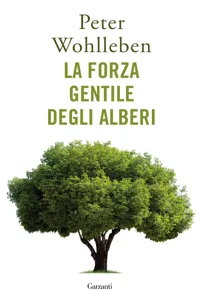 La forza gentile degli alberi_cover