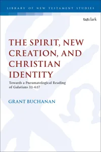 The Spirit, New Creation, and Christian Identity_cover