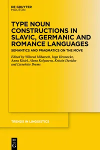 Type Noun Constructions in Slavic, Germanic and Romance Languages_cover