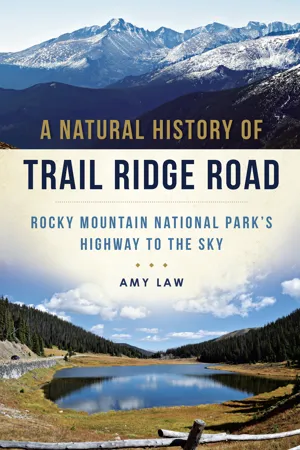 A Natural History of Trail Ridge Road: Rocky Mountain National Park's Highway to the Sky