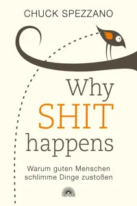 WHY SHIT HAPPENS_cover